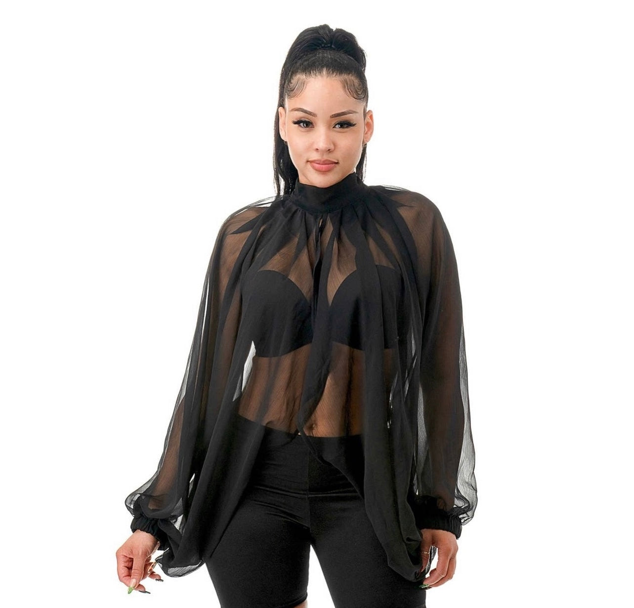 All Sleeves Sheer Top