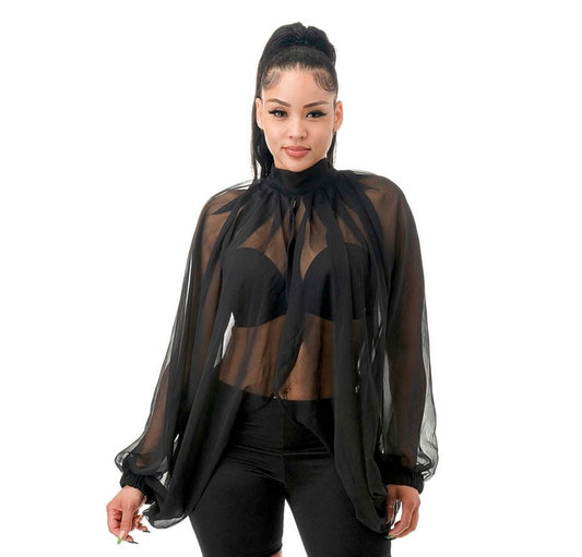 All Sleeves Sheer Top